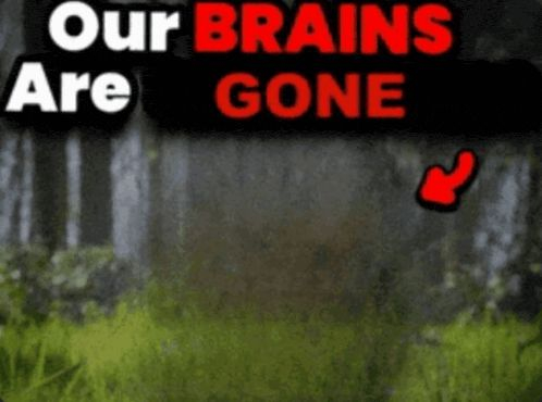 86cb290bc8f526df14950f1d9f75a591 (1).jpg