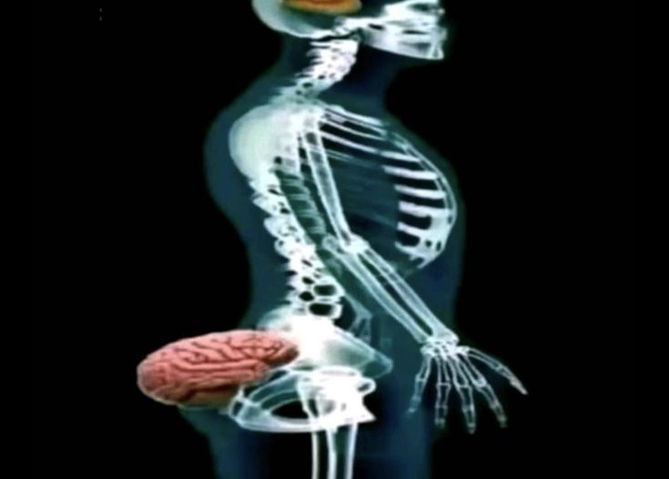 1de67bca554c05ddf781fa46e27bb1c7 (1).jpg