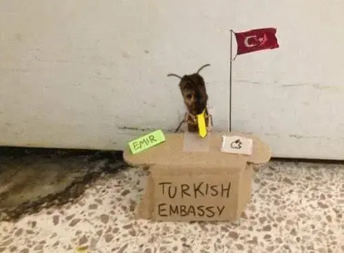 giga turk.png
