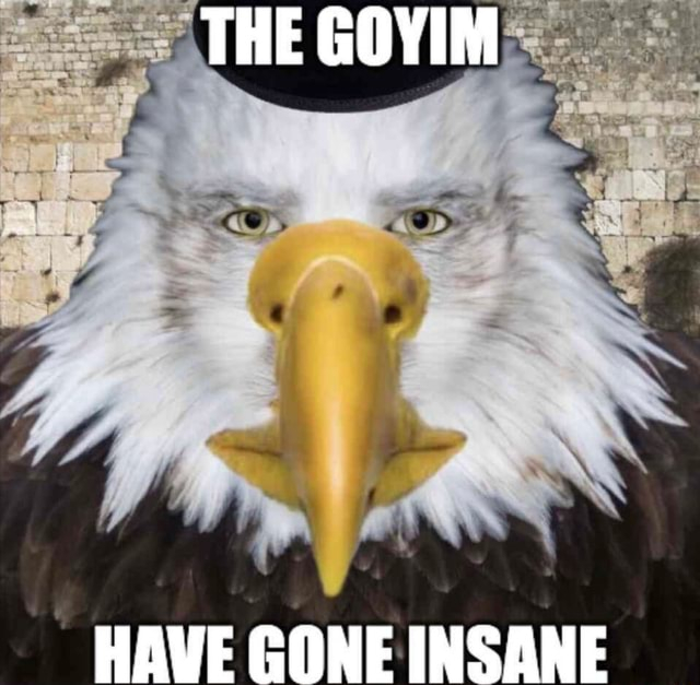the goyim have gone insane.jpg