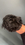 IMG_2843.jpeg