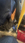 IMG_4070.jpeg
