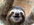 1779733154559.png