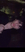 Screenshot_20260526_221221_TikTok.jpg