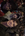 IMG_2107.jpeg