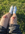 rn_image_picker_lib_temp_767f6156-eda0-4b0a-bc0c-a049ede8e243.jpg