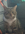 20260605_213357.jpg