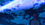 IMG_5487.gif