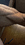 927CE3EC-B366-41A7-9576-31E2FC0EE2FE.jpeg