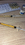 IMG_4140.jpeg
