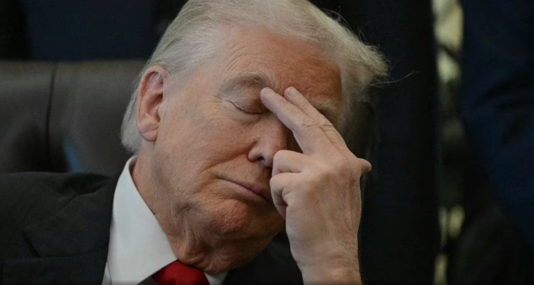 i guess bro trump.PNG