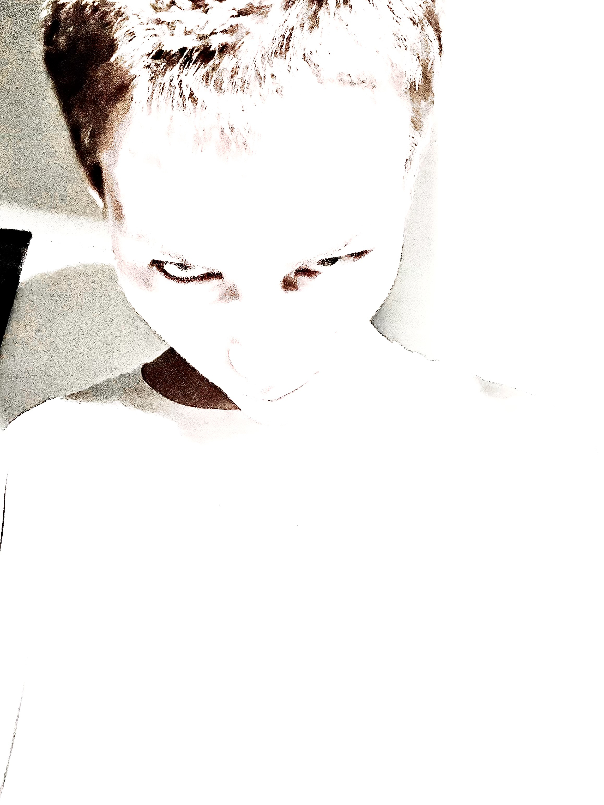 IMG_5610.jpeg IMG_5610.jpeg